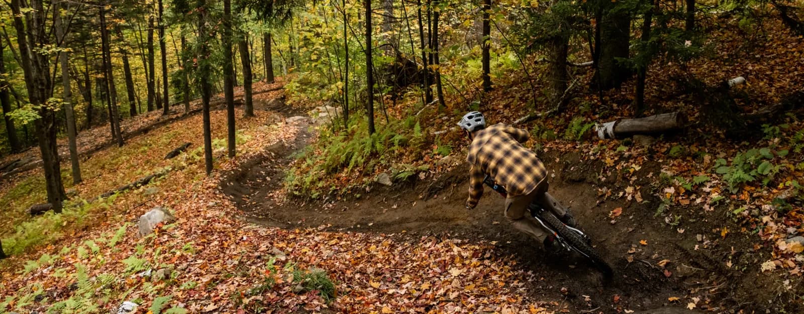 Bromont Bike Park mountain biking