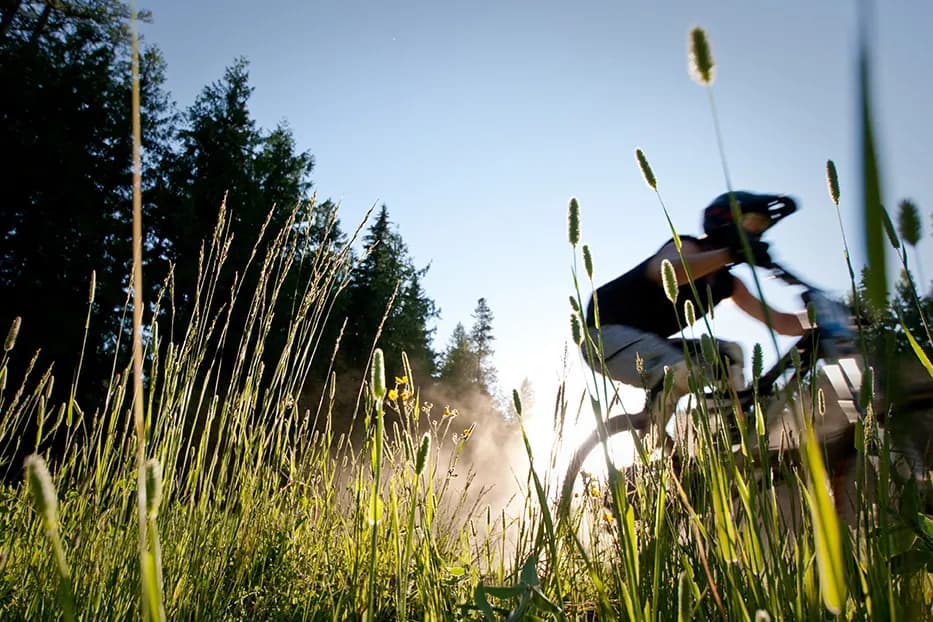 Fernie Alpine Resort Bike Park mountain biking