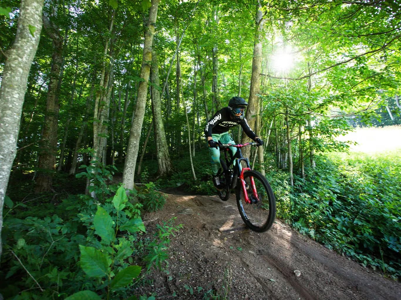 The Highlands Bike Park mountain biking