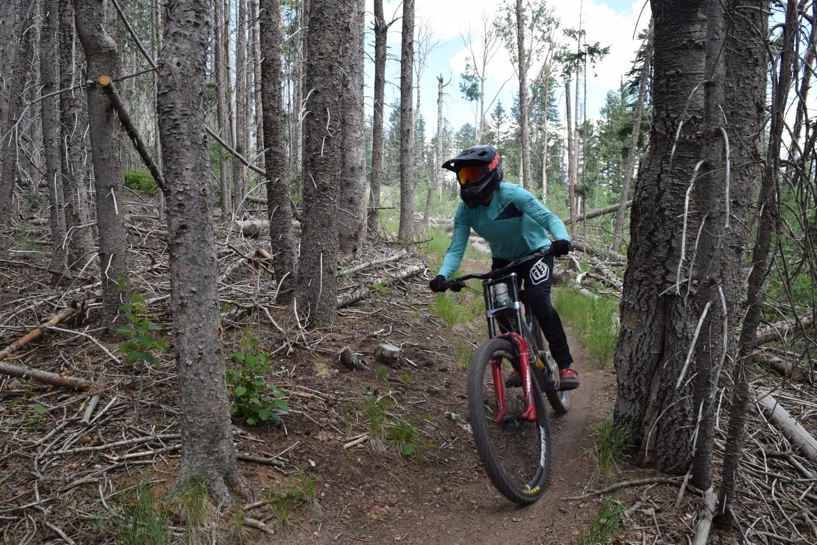 Pajarito Mountain Bike Park mountain biking