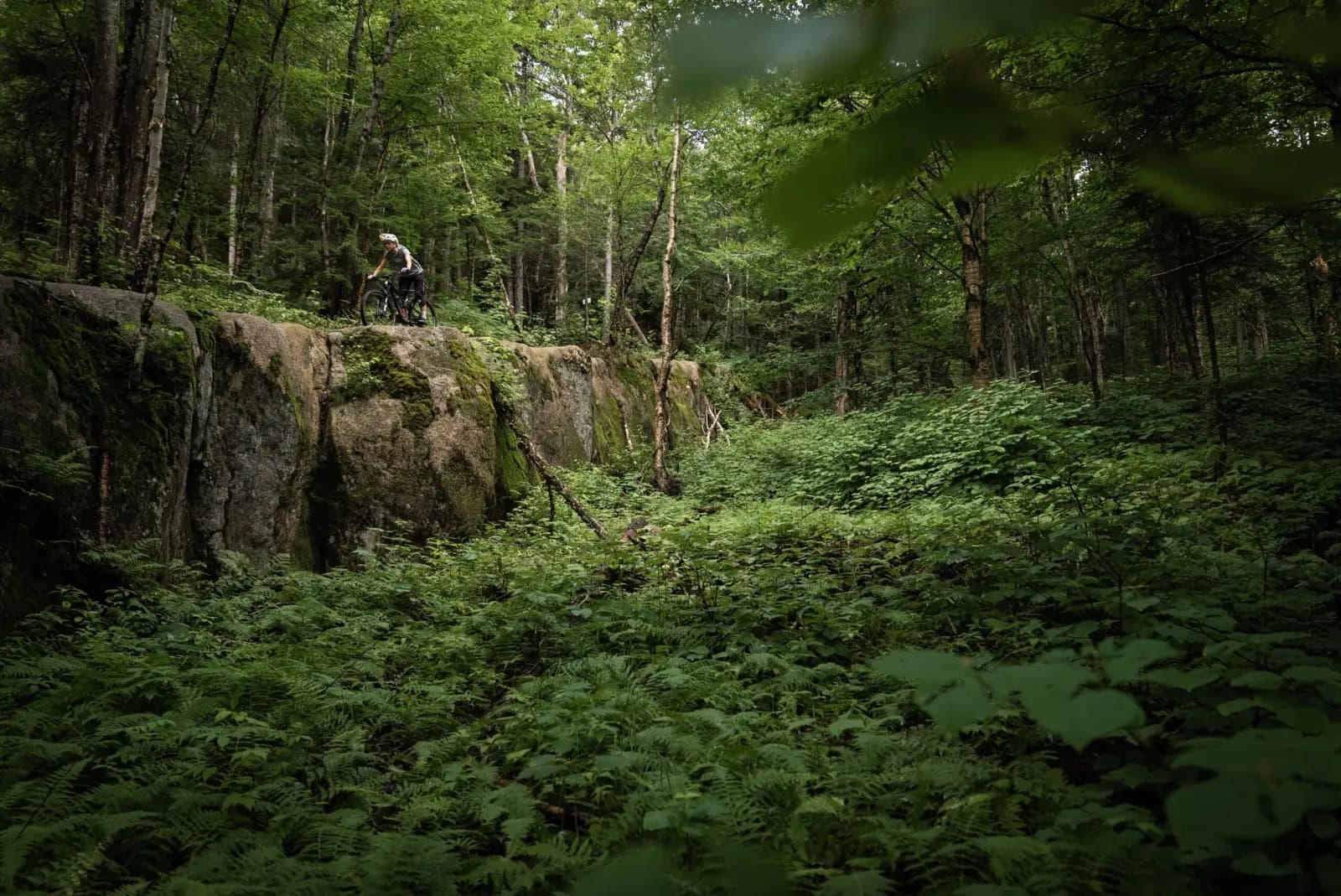 Sentiers du Moulin mountain biking