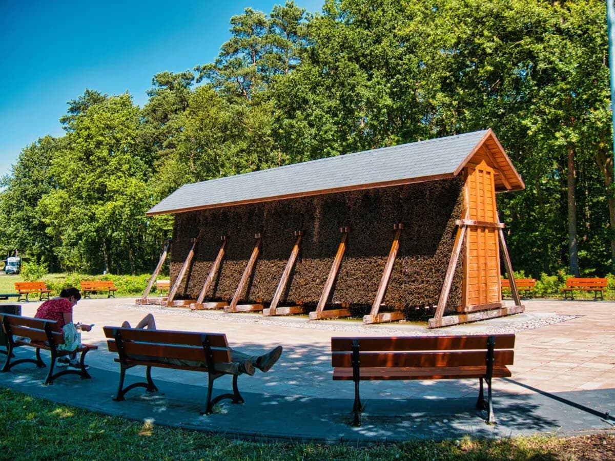 Myślęcinek Bike Park mountain biking