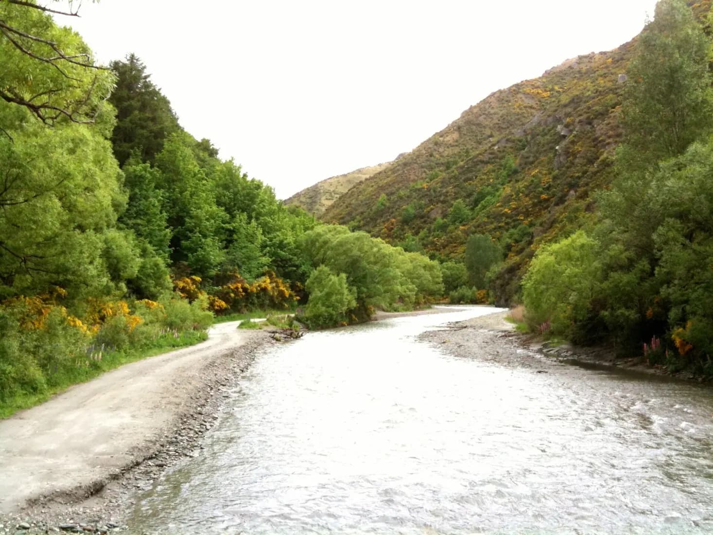 Queenstown Bike Park mountain biking